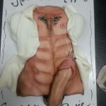 Alabama-slammer-white-coat-tanned-dick-torso-sex-cake