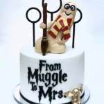 Chicago-Illinios-Muggle-Golden-Snitch-Bachelorette-Adult-Cake